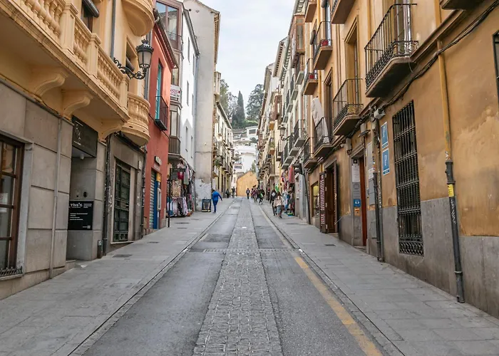 El Olivo En Plaza Nueva *